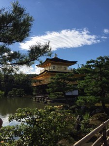 a2bdb627d6c738b6cd3603eecd68c672